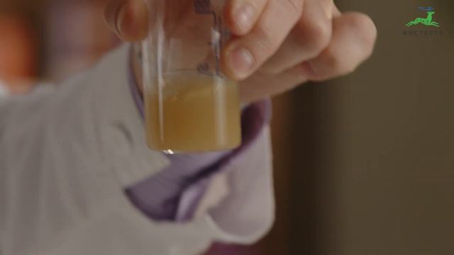 Гинкго билоба. Выбор качественной добавки для памяти ? смотреть онлайн