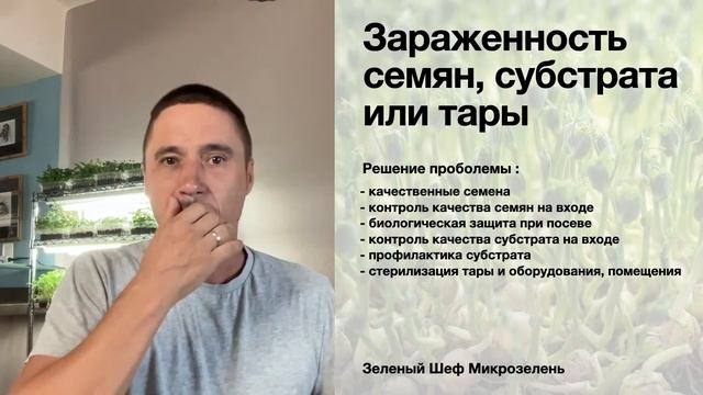 Болезни Микрозелени : какие виды и как бороться Прямо? смотреть онлайн