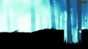 A Walk In The Dark (Walkthrough) - The Forest #2