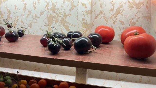 Овощи для салата в ноябре с грядок в открытом грунте в смотреть онлайн