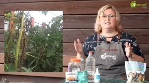 Как обеззаразить почву от болезней?! 4 средства для люб