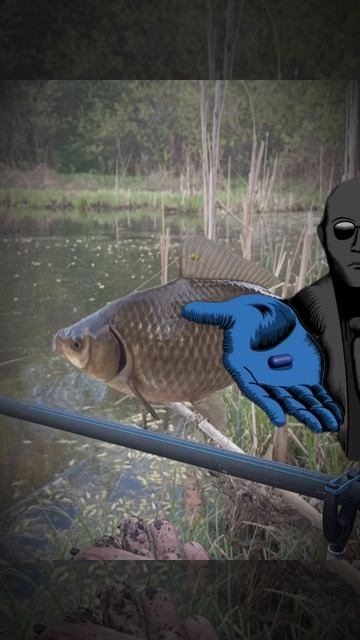 Что выберешь ты ?