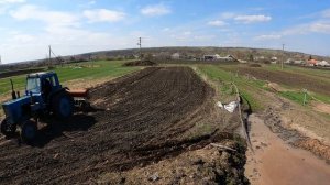 Посев люцерны с ячменем. Будет корм ...