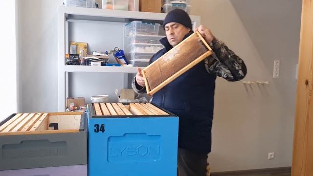 Технология содержания пчел на 1.5 корпуса дадан на 10 ра? смотреть онлайн