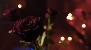 ГАДАЛКА: Внебрачное ложе, Черная роза