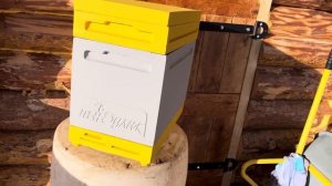 Пеноулики 8рамочные. Зимовка. Матководство.