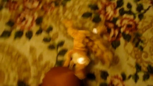 Белка - Скрат с желудем (Ледниковый период).mp4 смотреть онлайн