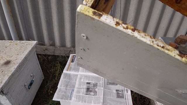 Почему лучше соединить пчел сейчас, а не ждать морозов смотреть онлайн