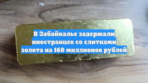 В Забайкалье задержали иностранцев со слитками золота на 160 миллионов рублей