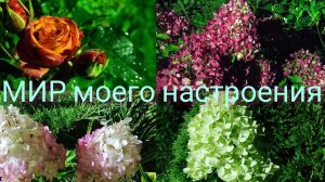 05.09.25 Дача.Пятница вечер прогулка под фонарями