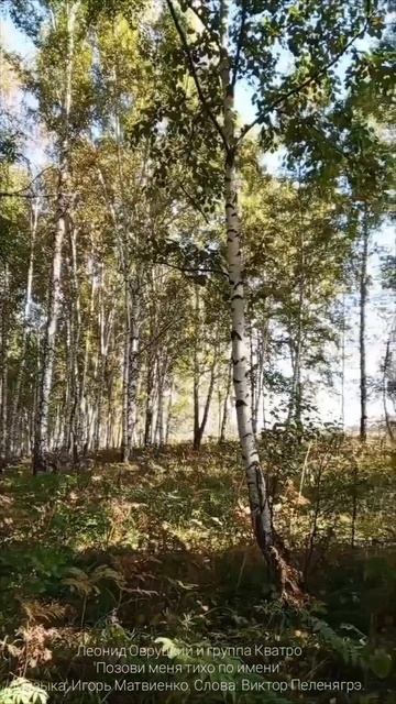 KvatromusickRu
Ещё немного лета.