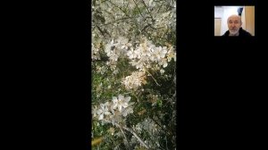 Супер инновация в пчеловодстве