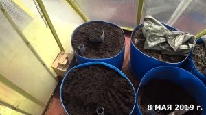 Как вырастить арбузы на Севере. Часть 1. Подготовка зем