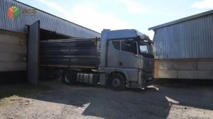 Уборка сахарной свеклы/Отгрузка пшеницы на экспорт/По