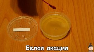 Мёд из белой акации (Honey of white acacia)