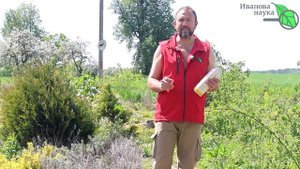 МОЛОКО НЕ КИСНЕТ, стало горькое, вонючее? Это просто сп