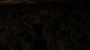 ПРОИЗВОДСТВО ХВОЙНОЙ МУКИ ДЛЯ ПЧЁЛ!