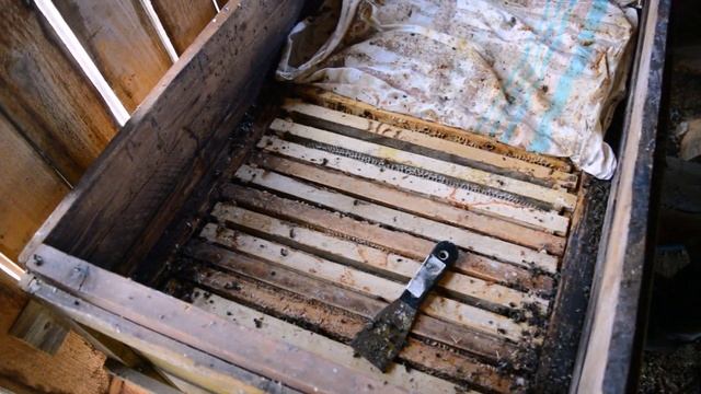 Содержание пчел на чердаке. Весна 2015. смотреть онлайн