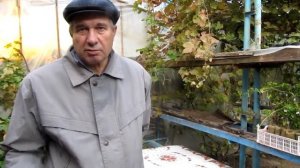 День виноградаря часть 4