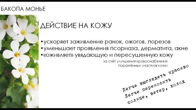 Бакопа Монье (Bacopa Monnieri) смотреть онлайн