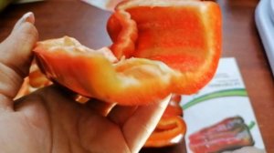 Перец Ламуйо. часть 2.