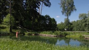 Территория пансионата Воробьи