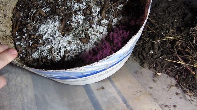 Землянка выживание!  Харьков!  шампиньоны  грибы! мицел смотреть онлайн