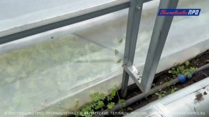 Отопление в теплице. Воздушное отопление пеллетными к