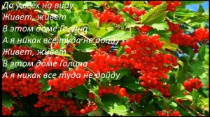 Растет возле дома калина Николай Гнатюк