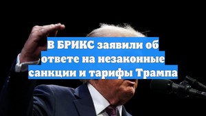 В БРИКС заявили об ответе на незаконные санкции и тарифы Трампа