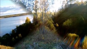 Литвиновская красивая ОСЕНЬ 2018г