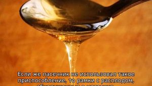 Как правильно качать мед