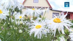 Ветеранское подворье-2025 (часть 1)