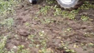 #homemade_tractor 🚜  Запахиваю навоз и сидераты на зиму #осенн