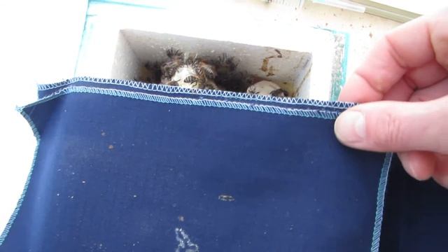 МАТКИ И ПЧЁЛЫ ХОТЯТ ЖИТЬ (3) смотреть онлайн