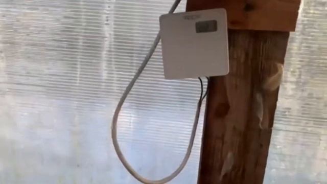 Первые нюансы при выращивании рассады огурца. Огурец B смотреть онлайн