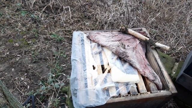 Осмотр улья аббата Варрэ | 18 01 2023 года | 272. 00 смотреть онлайн