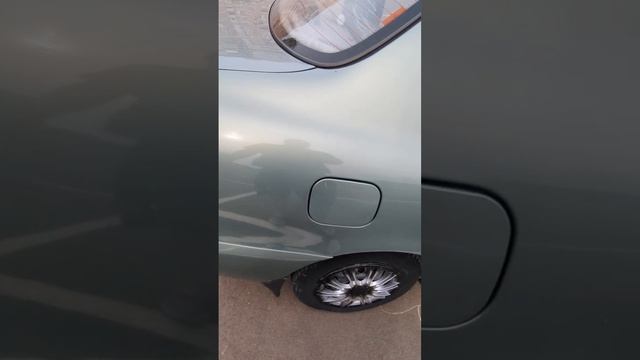 video5332392113495636432