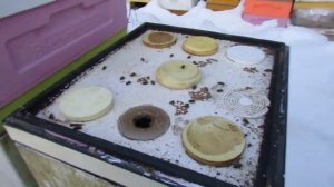 февраль на пасеке - зимовка на воле в улье ППС Лысонь н?