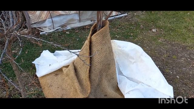 Укрытие хвойных, три фактора смотреть онлайн