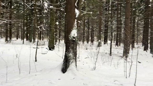 2025 год для сильных смелых умных смотреть онлайн