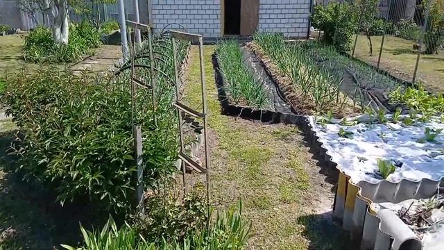 22 мая 2025 г. Подготовка к посадке огурцов и ещё кучка д? смотреть онлайн