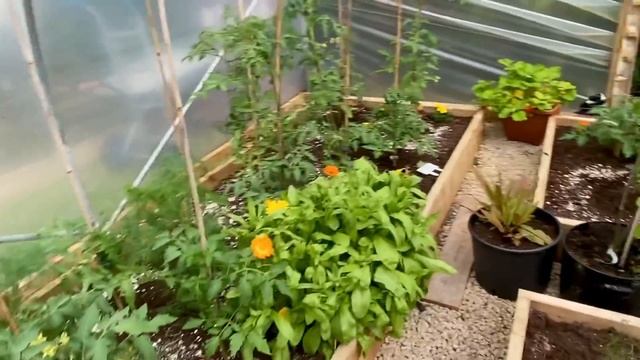 УБОРКА САРАЯ, ТЕПЛИЦЫ И САДА В ИЮНЕ 2021 🌺 CLEANING SHED, GREENHOUSE смотреть онлайн