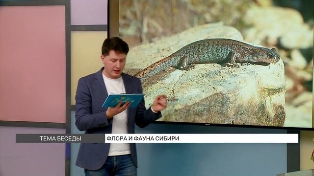 Флора и фауна Сибири