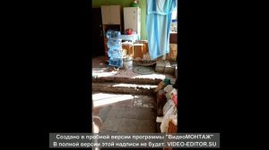 Презентация дома