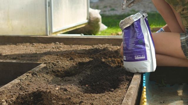 Рассада приживется 100%! Когда сажать рассаду помидора ? смотреть онлайн