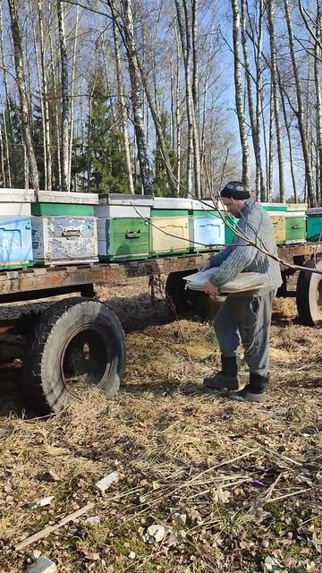 Первые весенние работы на пасеке смотреть онлайн