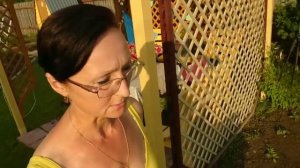 Видео привет с 6 соток в Троицу 2025 года