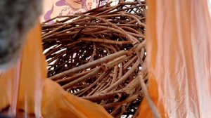 Поделки для сада плету из виноградной лозы, апрель 2025