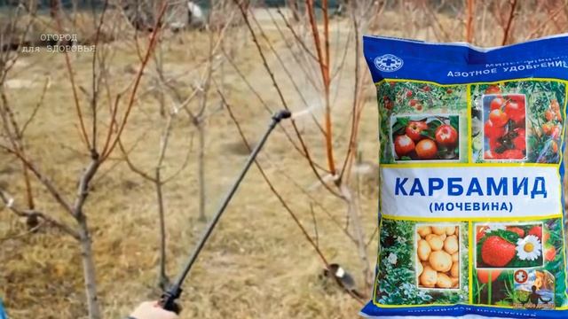 ОПРЫСКАЙ САД ОТ БОЛЕЗНЕЙ И ВРЕДИТЕЛЕЙ.КЛАССИЧЕСКИЕ ПО смотреть онлайн